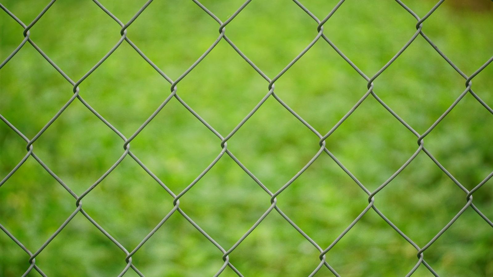 Close-up of grey chain-link fence mesh in front of a blurred green lawn