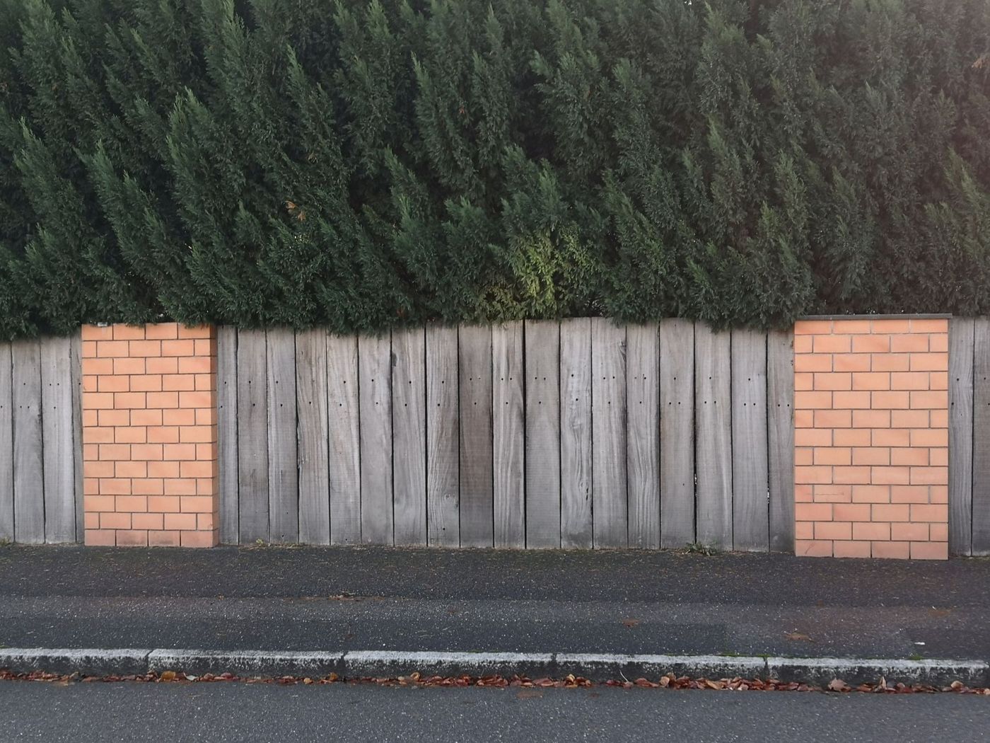 Weathered vertical-board wooden fence between two brick pillars, backed by a tall evergreen hedge