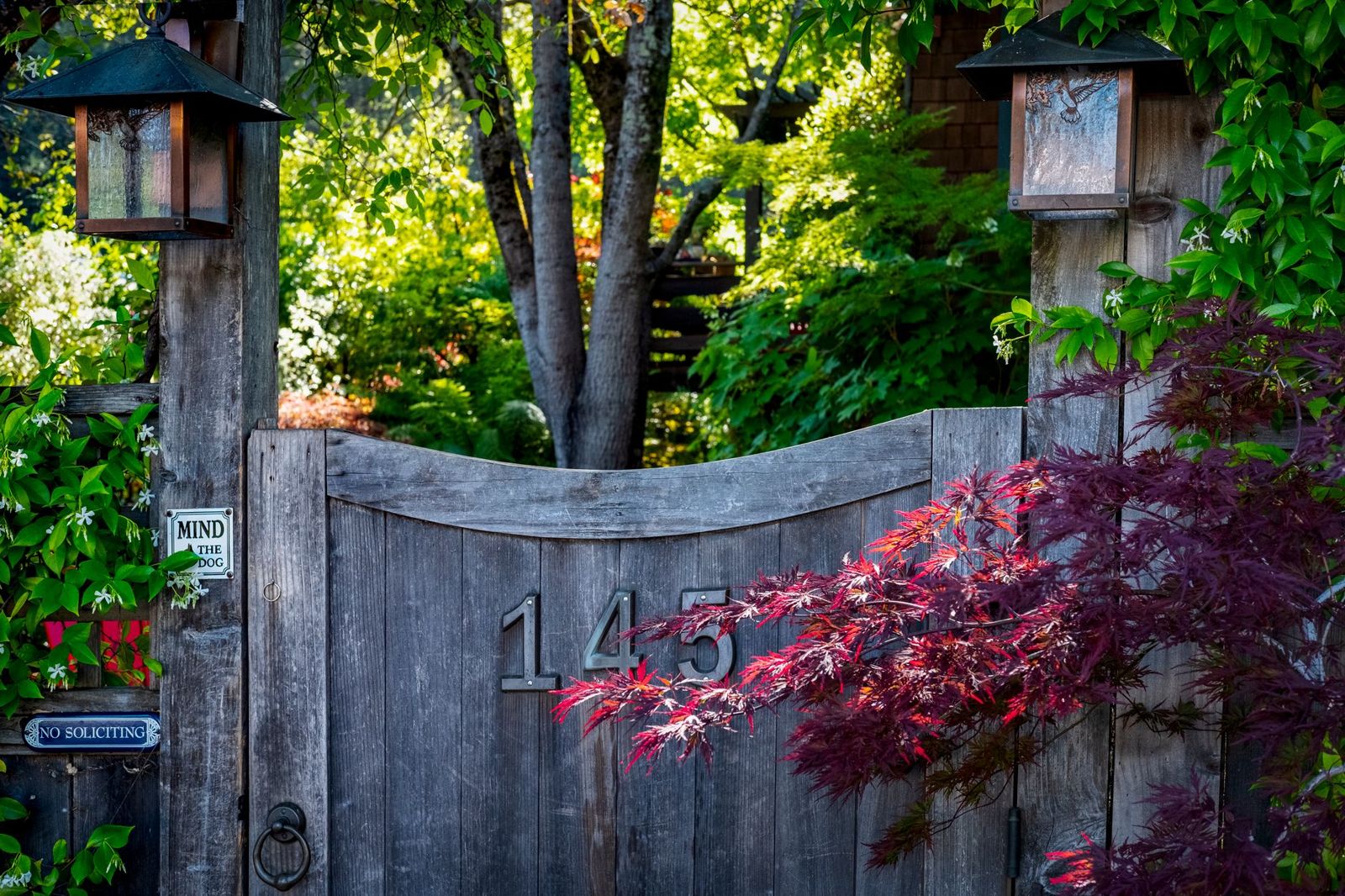 Weathered wooden garden gate with a curved top between tall posts topped with lanterns, framed by a red Japanese maple